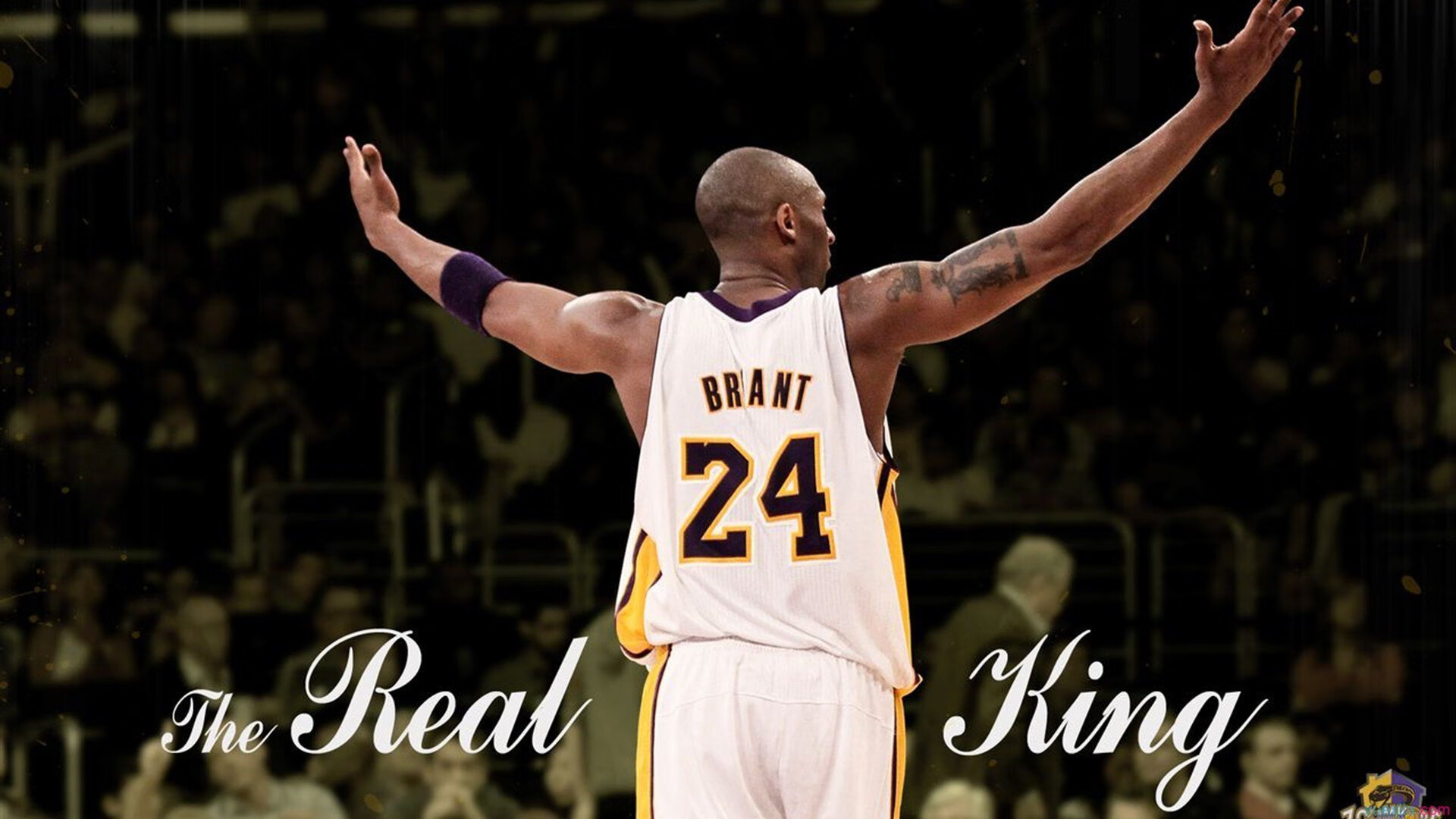 开云在线-梅西爆冷击败拜仁，赛事规则更新引爆全场！